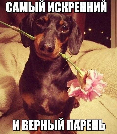 и это так.