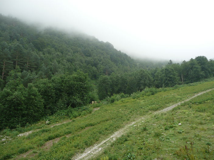 Личные фото