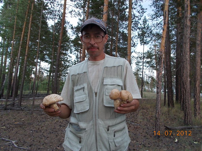 Как грибок-боровичок!