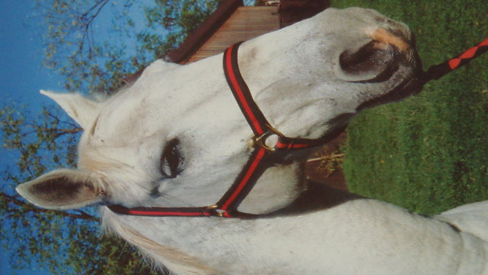 Horsepower