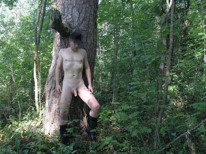 в лесу