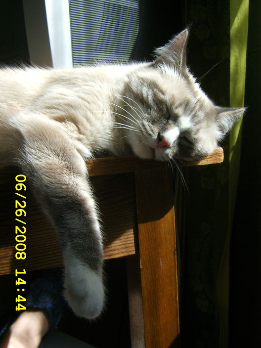 Личные фото