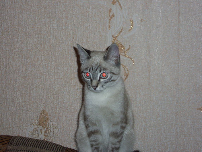 Личные фото