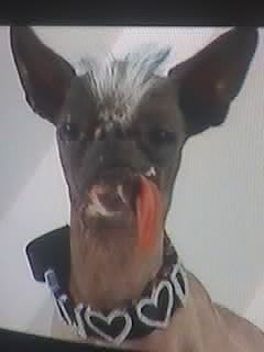 похож только кабелизмом