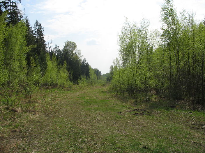 Личные фото