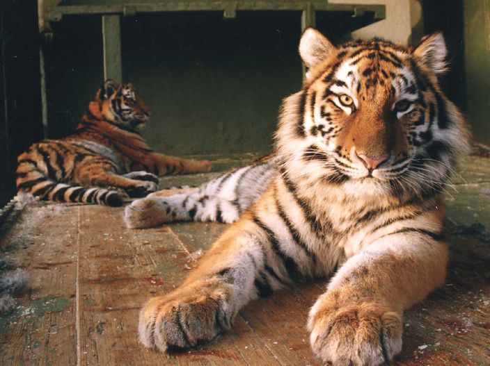 Личные фото