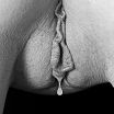 xxx