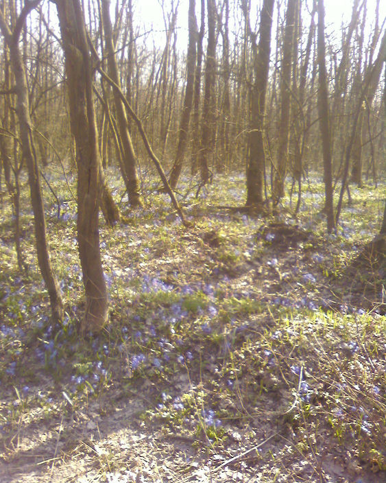 Личные фото