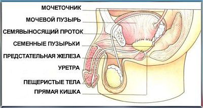 мужик