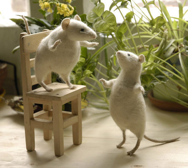 Личные фото