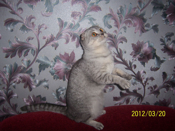 Личные фото