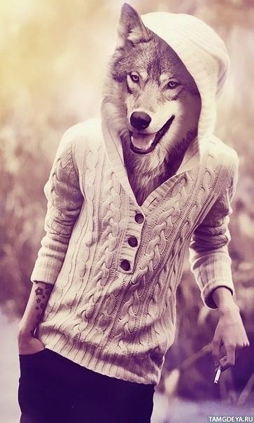 I'm wolf