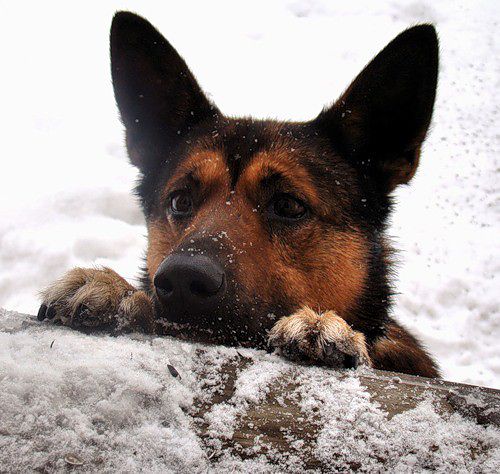 Личные фото