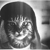 мои фото