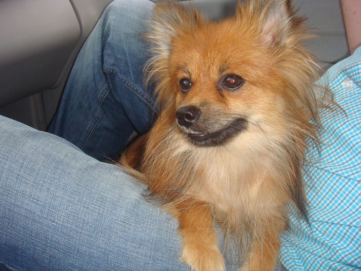 Личные фото