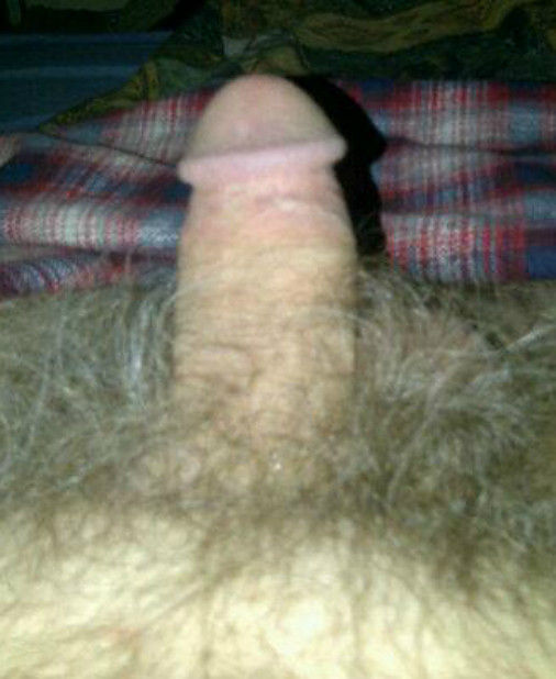 morning wood