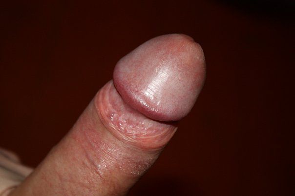 Мой