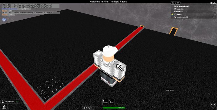 mon roblox dans find the epic face :D pour le raimbow