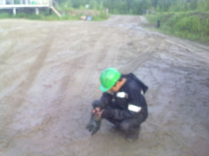 Личные фото