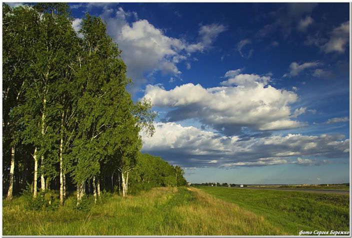 Родной р. Родной край Омская область. Природа родного края. Родина Матушка Россия. Россия Матушка природа.