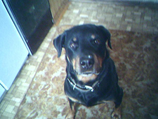 Личные фото