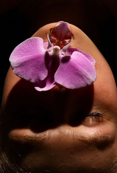 Орхидея в губах...