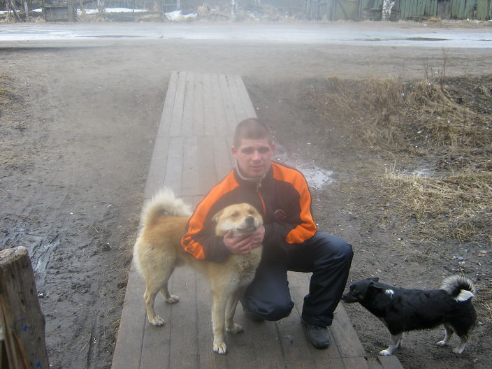 Сучки