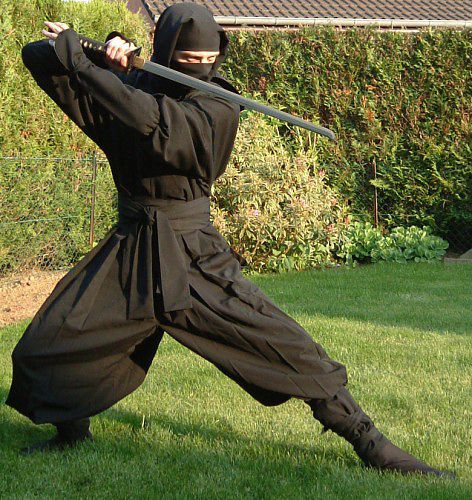NINJA