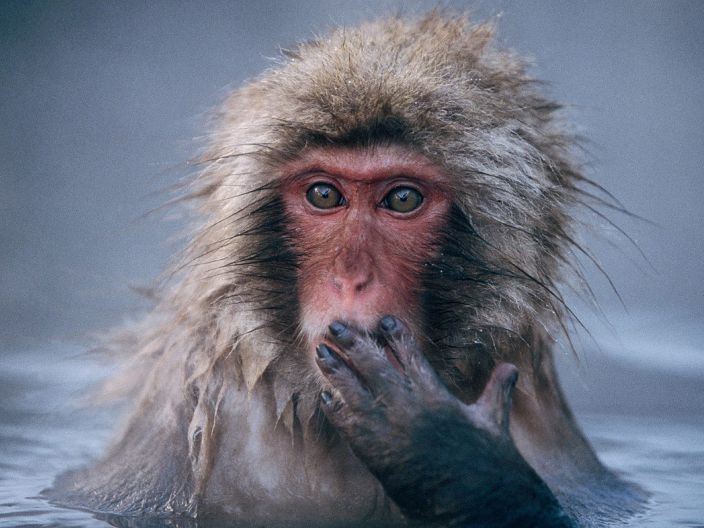 Личные фото