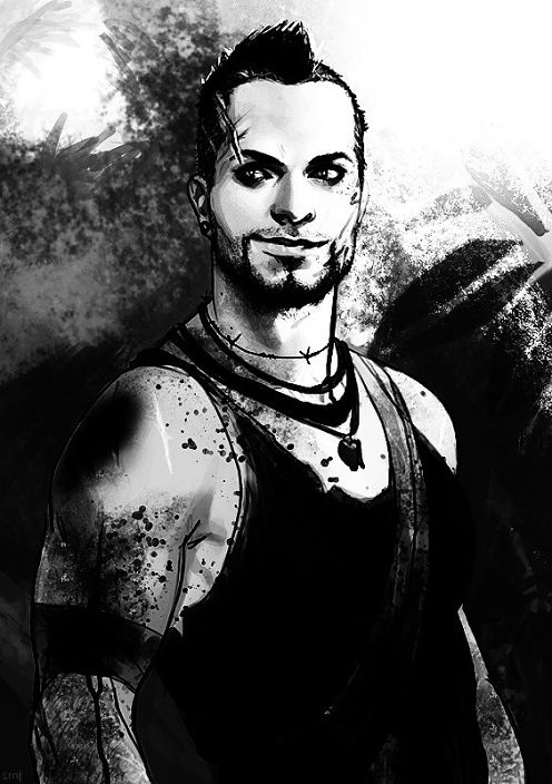 Vaas