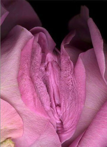 МММММРРРРММММЯЯЯЯУУУУ