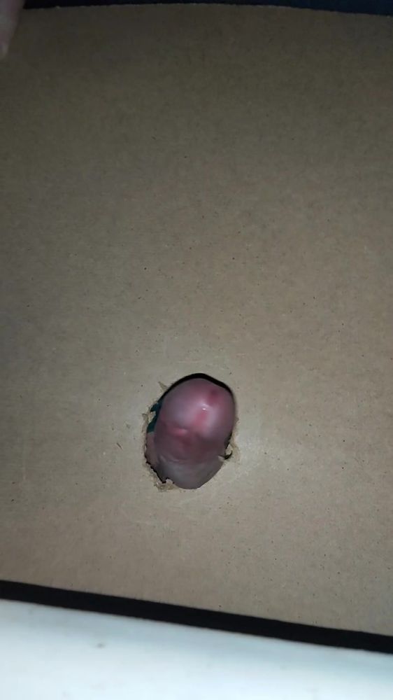 Дрочу в дырку)