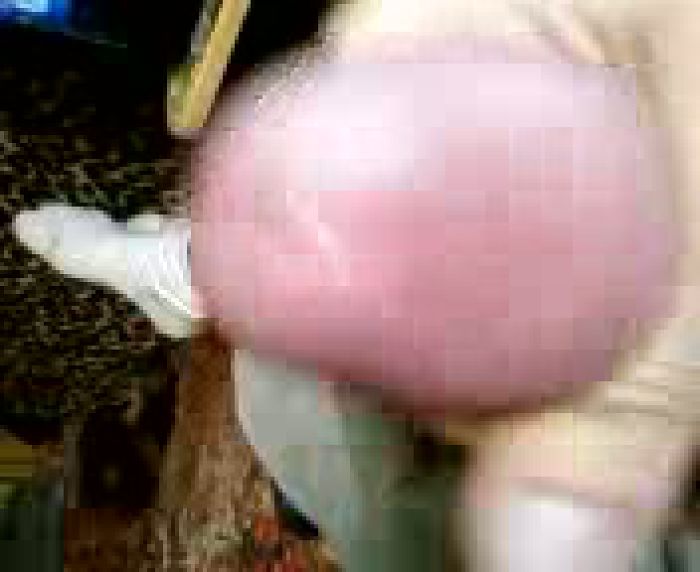 vvvvvvvvvvvvvvvvvvvvvvvvv